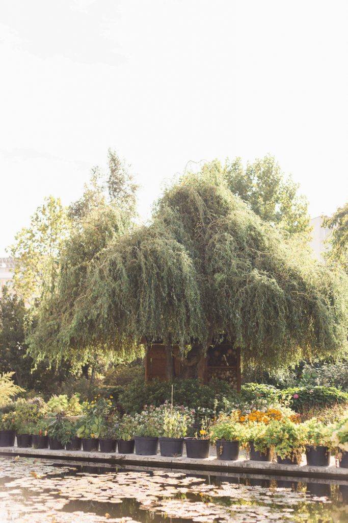 Botanická záhrada Košice